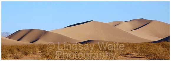 sand dunes near Beatty