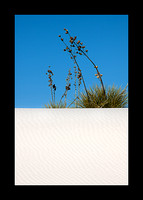 March 2014_White Sands Natl Monument_Night to Day