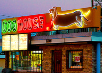 Dog House 5 x 7 August 2014