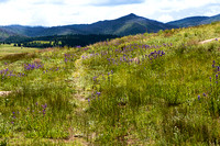 July 2015 Abiquiu and Caldera