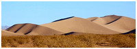 sand dunes near Beatty