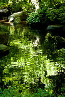 Portland Japanese Garden